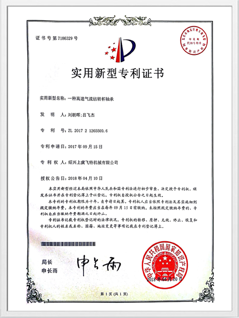 Practical Patentes certificatorium